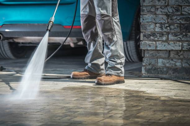 Best Roof Washing  in Cambria, IL